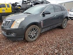 Salvage cars for sale at Phoenix, AZ auction: 2016 Cadillac SRX Performance Collection