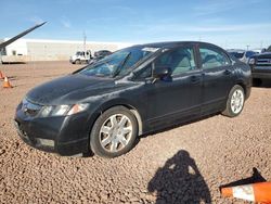 Salvage cars for sale at Phoenix, AZ auction: 2011 Honda Civic LX