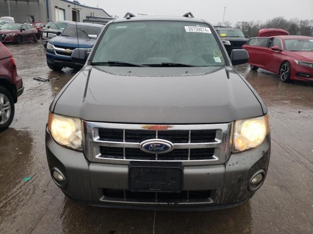 2011 Ford Escape XLT