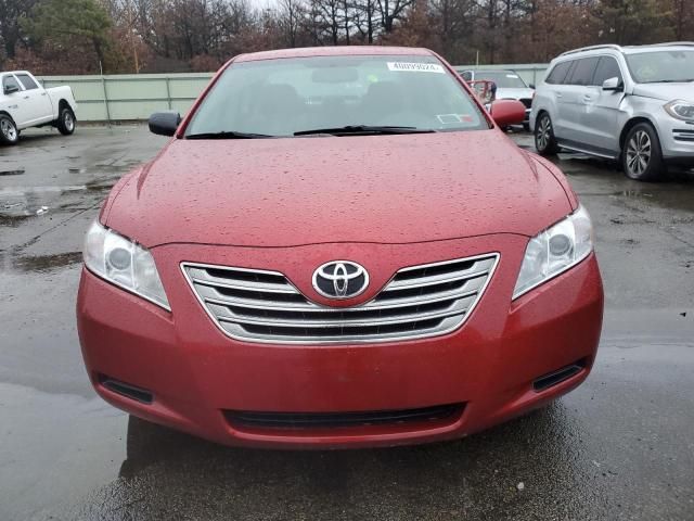 2009 Toyota Camry Hybrid