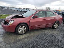 Salvage cars for sale at Eugene, OR auction: 2003 Honda Accord EX