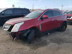 Salvage cars for sale at Chicago Heights, IL auction: 2010 Cadillac SRX Luxury Collection