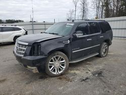 Cadillac Escalade salvage cars for sale: 2009 Cadillac Escalade Luxury