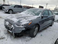 Salvage cars for sale from Copart Chicago Heights, IL: 2019 Hyundai Sonata SE