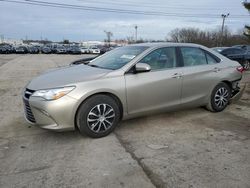 Salvage cars for sale at Lexington, KY auction: 2017 Toyota Camry LE