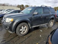 Ford salvage cars for sale: 2009 Ford Escape XLT