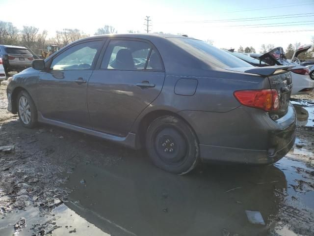 2010 Toyota Corolla Base