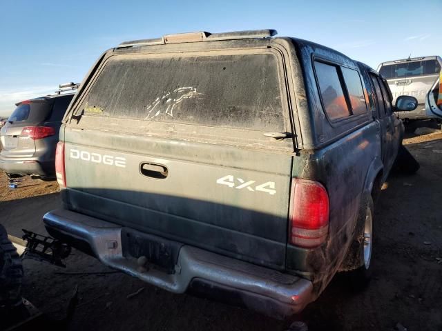 2000 Dodge Dakota Quattro