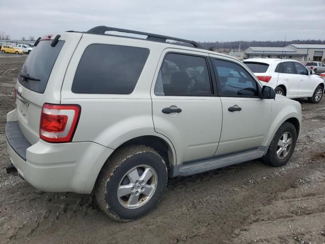 2009 Ford Escape XLT