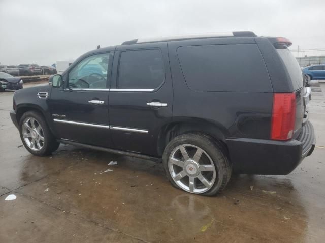 2010 Cadillac Escalade Premium