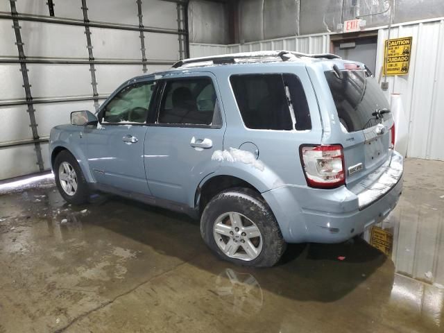 2008 Ford Escape HEV