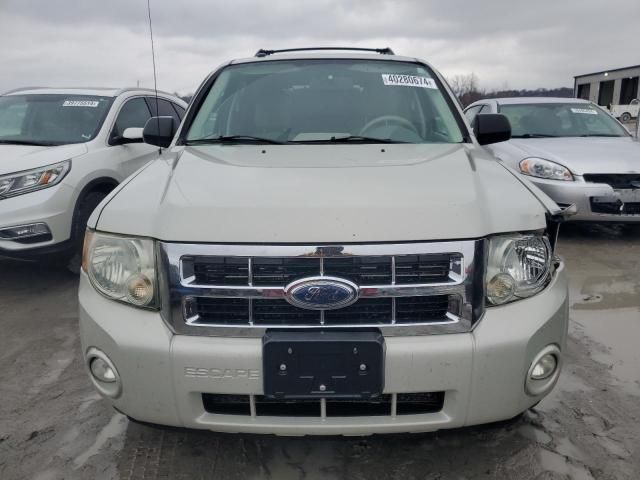 2008 Ford Escape XLT