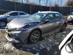 Toyota Camry salvage cars for sale: 2023 Toyota Camry SE Night Shade