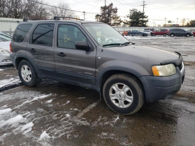 2002 Ford Escape XLT