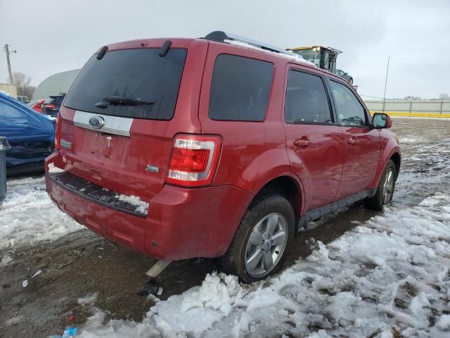 2011 Ford Escape Limited