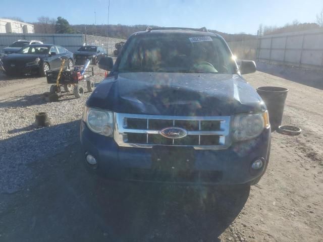 2008 Ford Escape XLT