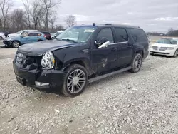 Cadillac Vehiculos salvage en venta: 2013 Cadillac Escalade ESV Premium