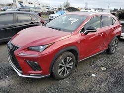 Salvage cars for sale from Copart Eugene, OR: 2019 Lexus NX 300 Base