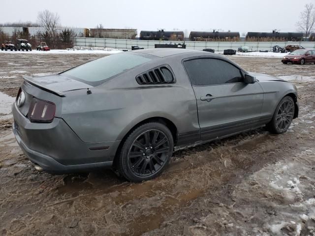 2010 Ford Mustang