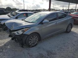 Salvage cars for sale at Homestead, FL auction: 2015 Hyundai Elantra SE