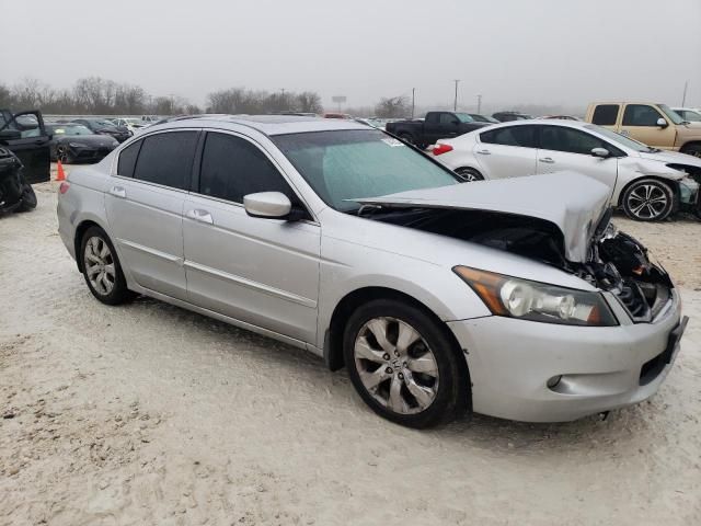 2009 Honda Accord EXL