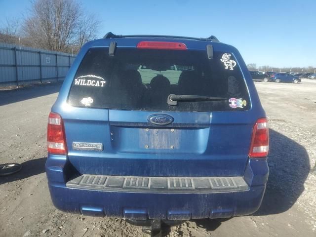 2008 Ford Escape XLT