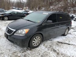 Honda salvage cars for sale: 2010 Honda Odyssey EXL