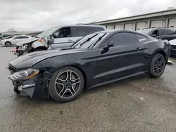 Salvage cars for sale at Louisville, KY auction: 2022 Ford Mustang GT