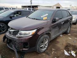 Salvage cars for sale at Brighton, CO auction: 2015 KIA Sorento LX