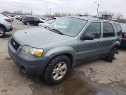 2006 Ford Escape XLT for sale in Louisville, KY