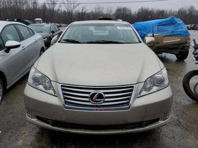 2011 Lexus ES 350