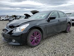 Infiniti G37 salvage cars for sale: 2013 Infiniti G37