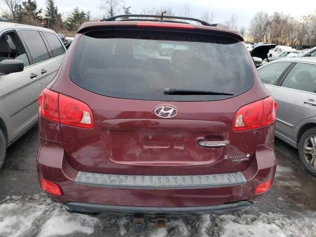 2007 Hyundai Santa FE SE