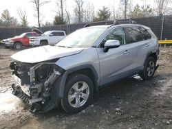 Salvage cars for sale from Copart Waldorf, MD: 2020 Toyota Rav4 XLE