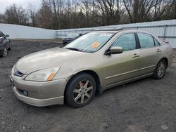 Salvage cars for sale from Copart Windsor, NJ: 2003 Honda Accord EX