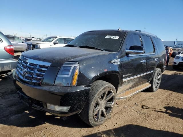 2007 Cadillac Escalade Luxury