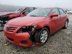 Salvage cars for sale from Copart Memphis, TN: 2010 Toyota Camry Base