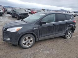 Salvage cars for sale from Copart Helena, MT: 2014 Ford Escape SE