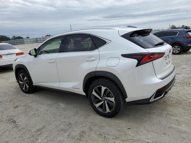 2020 Lexus NX 300H