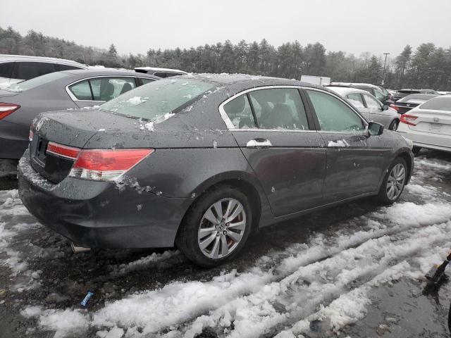 2011 Honda Accord EXL