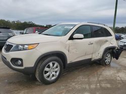 Salvage cars for sale from Copart Apopka, FL: 2011 KIA Sorento Base