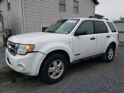 Salvage cars for sale at York Haven, PA auction: 2008 Ford Escape XLT