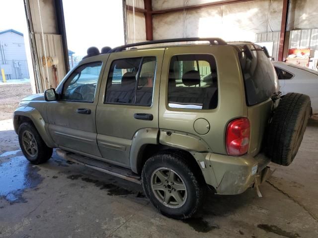 2002 Jeep Liberty Renegade