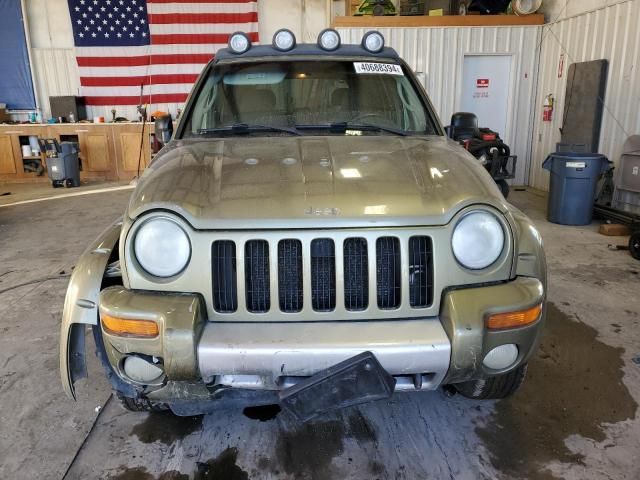 2002 Jeep Liberty Renegade