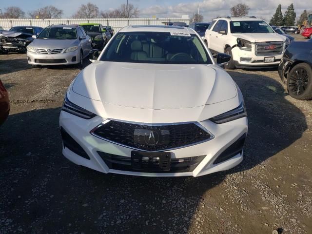 2023 Acura TLX