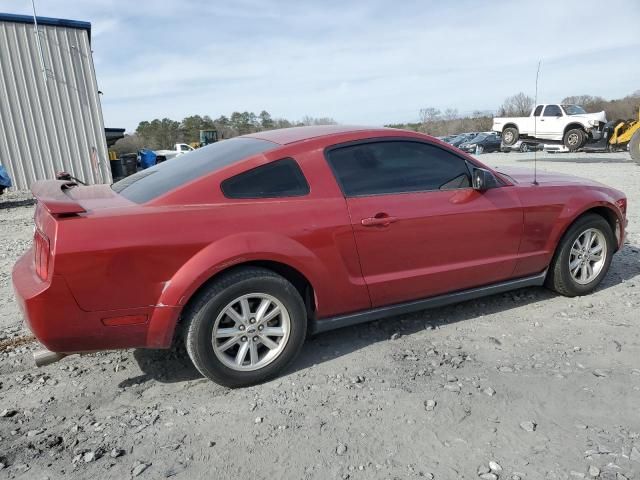 2005 Ford Mustang