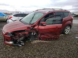 Vehiculos salvage en venta de Copart Reno, NV: 2016 Ford Escape Titanium