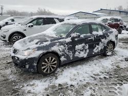 Lexus IS 250 salvage cars for sale: 2008 Lexus IS 250