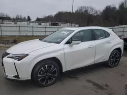 Salvage cars for sale at Assonet, MA auction: 2022 Lexus UX 250H Base