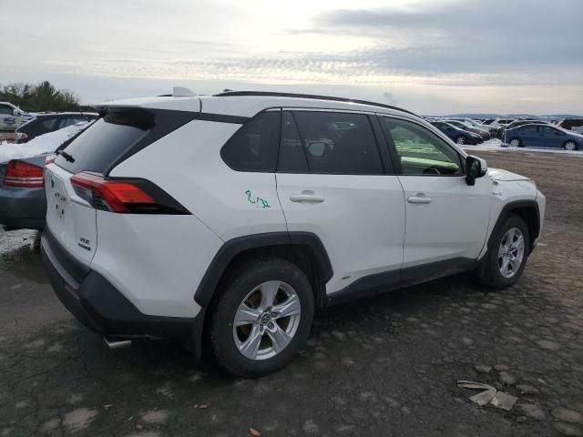 2019 Toyota Rav4 XLE